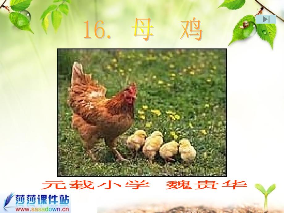 《改母鸡》教学课件_第1页