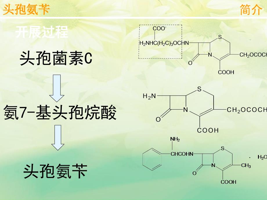 头孢氨苄合成工艺_第4页