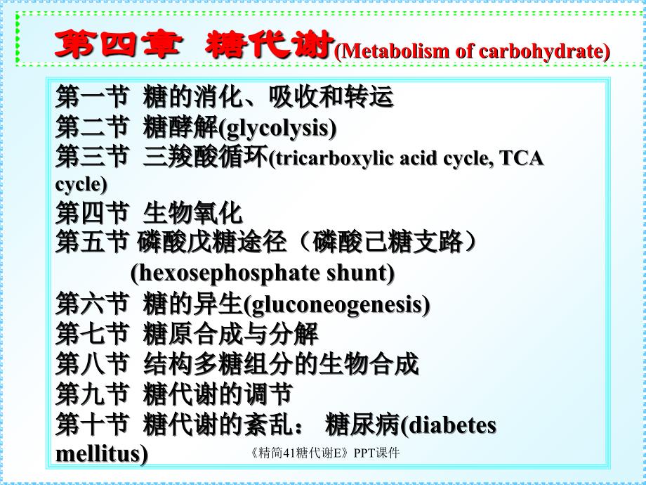 精简41糖代谢E课件_第3页