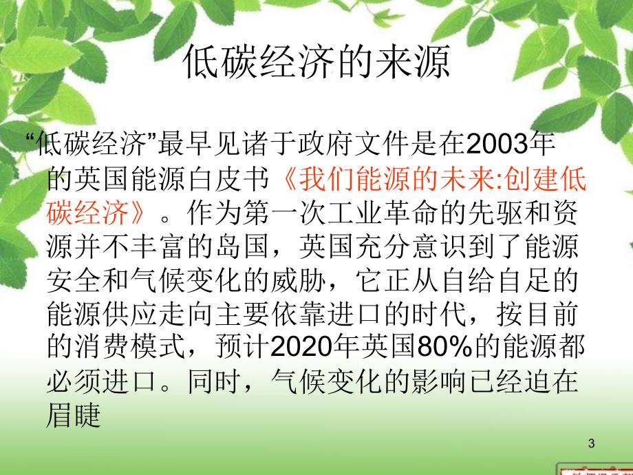 南京化工职业技术学院电子商务0921迈向低碳经济践行低碳生活吴兆丽组OK_第3页