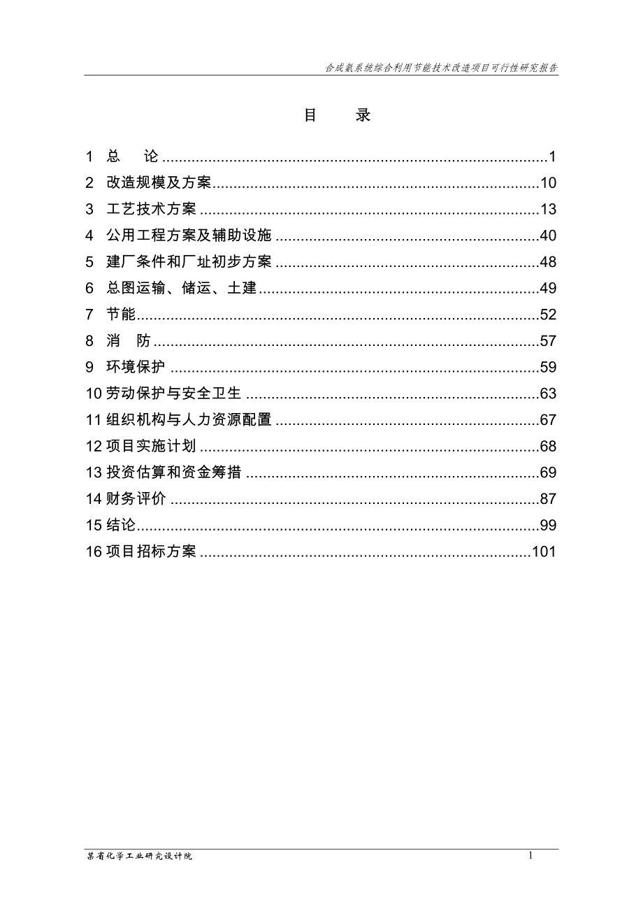 某市化学工业有限公司合成氨系统综合利用节能技术改造项目可行性研究报告_第2页