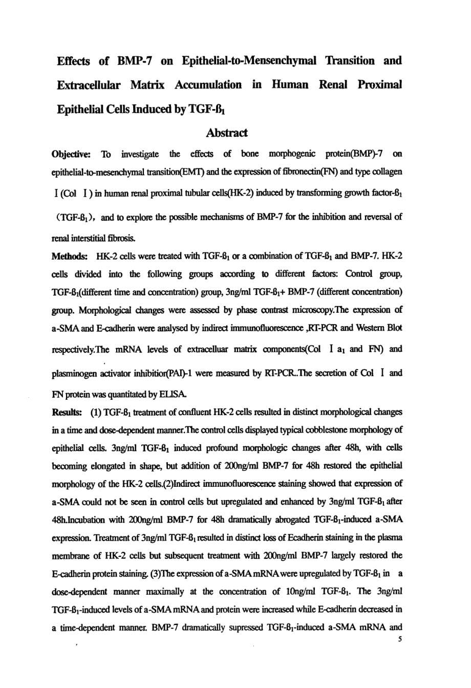 BMP对TGFβ 诱导人近端肾小管上皮细胞转分化及细胞外基质分泌的影响_第5页