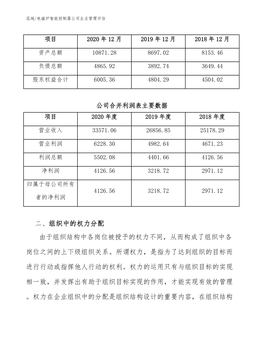 电磁炉智能控制器公司企业管理评估_第3页