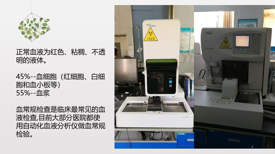 检验三大常规报告解读PPT课件_第4页