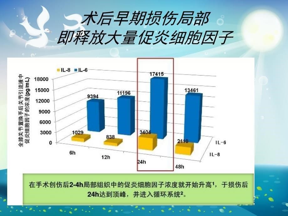 人工膝关节置换手术后镇痛课件_第5页