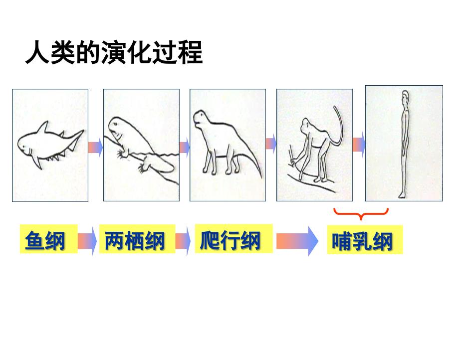 100109《必修481唯物辩证的发展观》_第3页