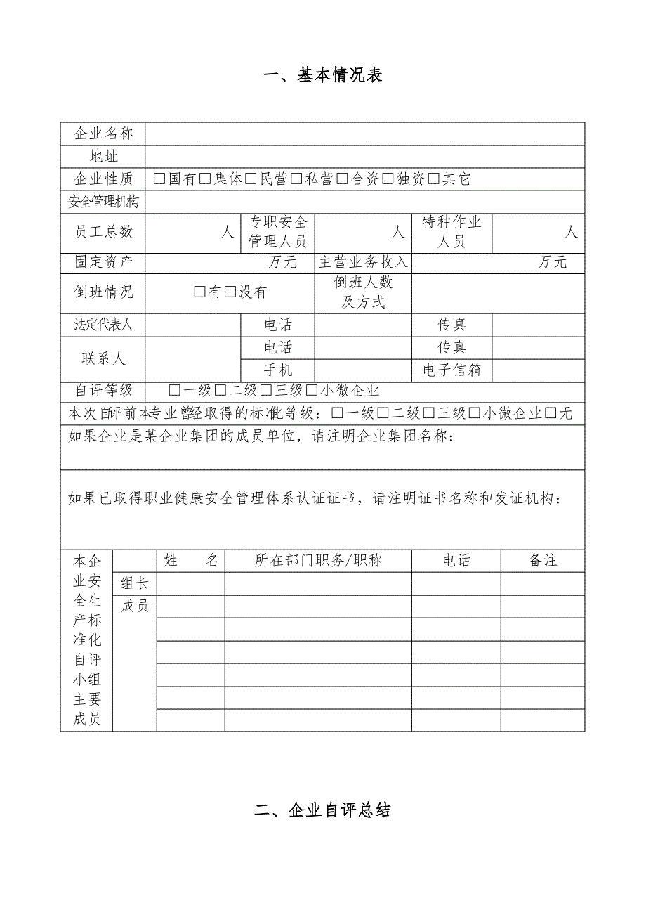 企业安全生产标准化自评报告(模版)_第2页