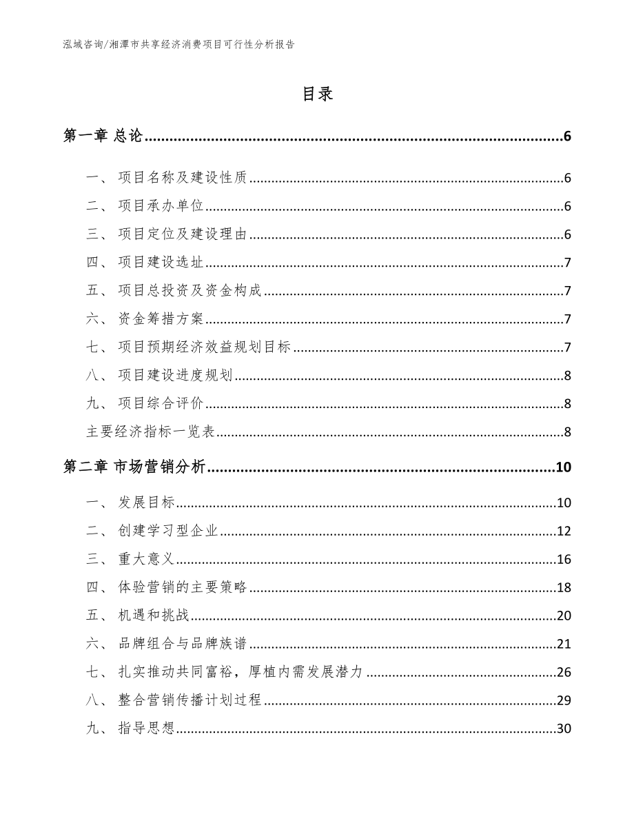 湘潭市共享经济消费项目可行性分析报告_第1页