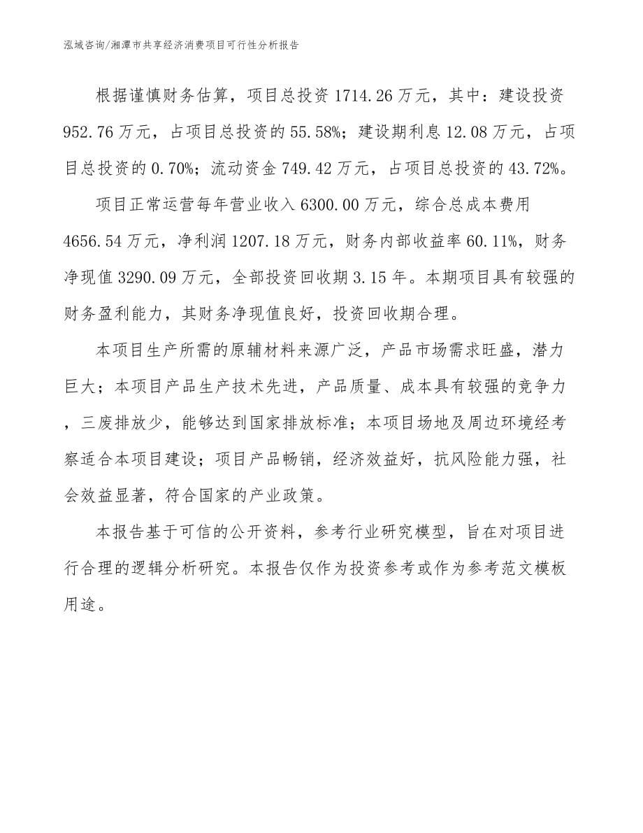 湘潭市共享经济消费项目可行性分析报告_第5页