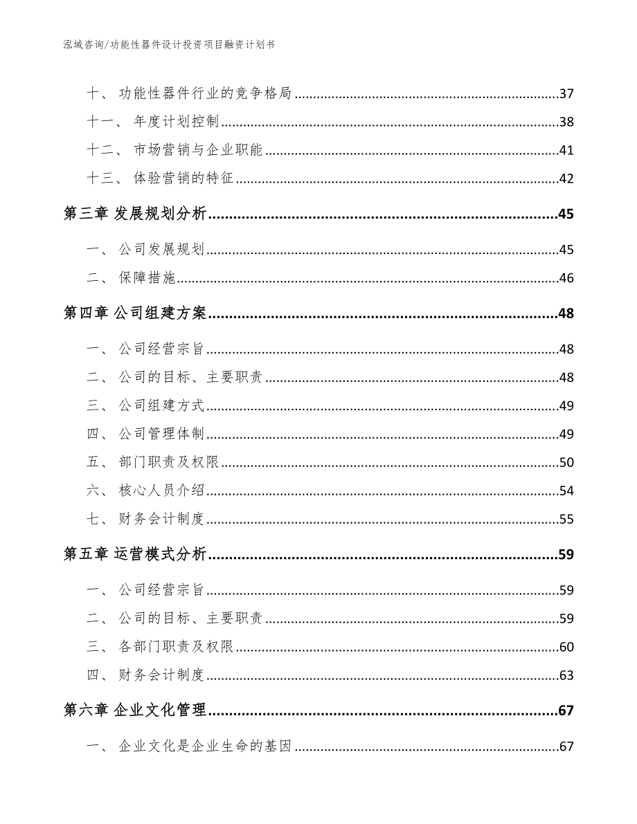 功能性器件设计投资项目融资计划书_第2页