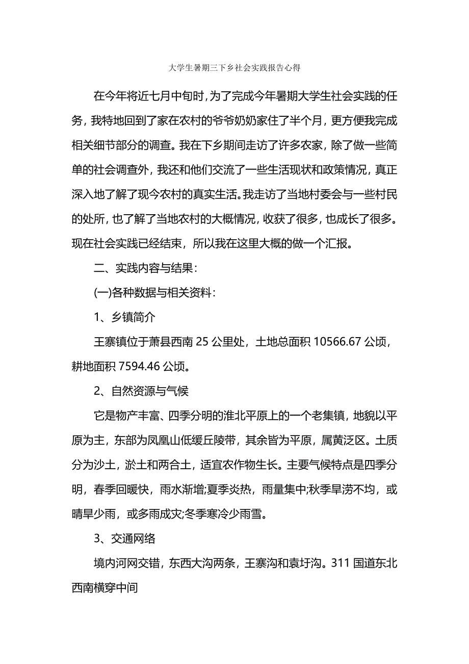 大学生暑假三下乡社会实践报告心得报告.docx_第5页