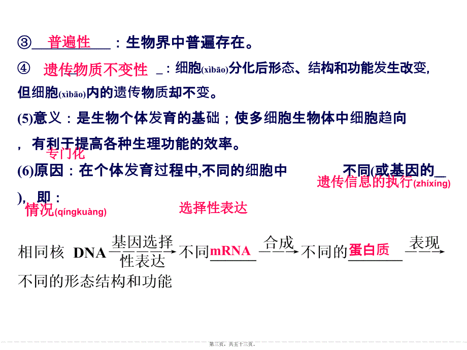 2022年医学专题—一轮复习细胞的分化、衰老、凋亡和癌变_第3页