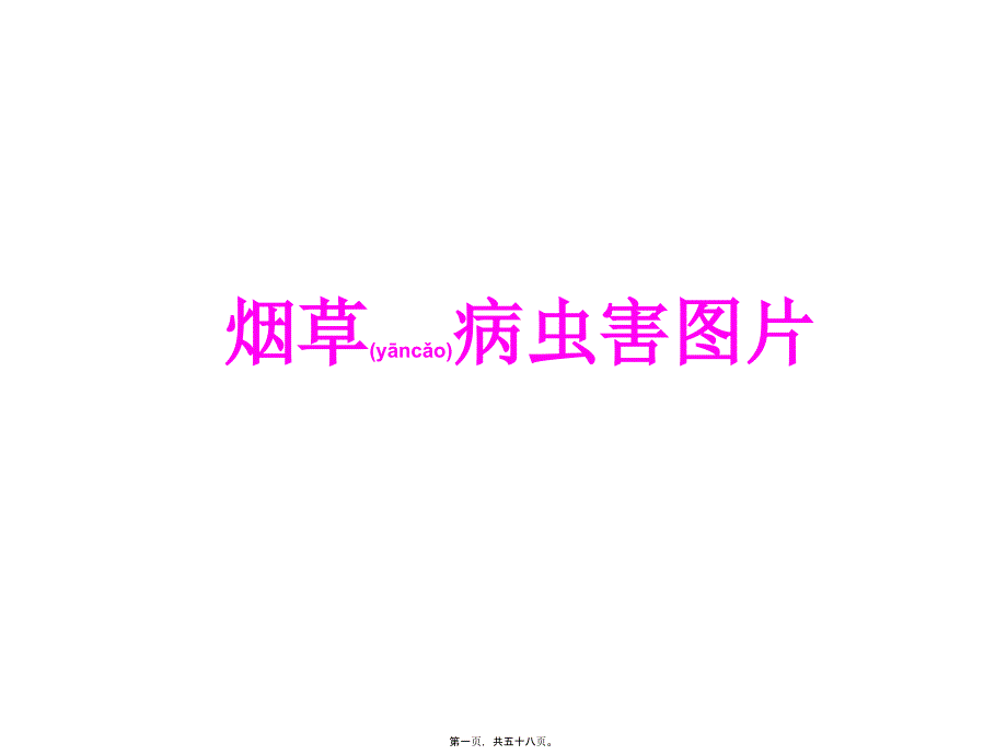 医学专题—烟草病虫害图片31226_第1页