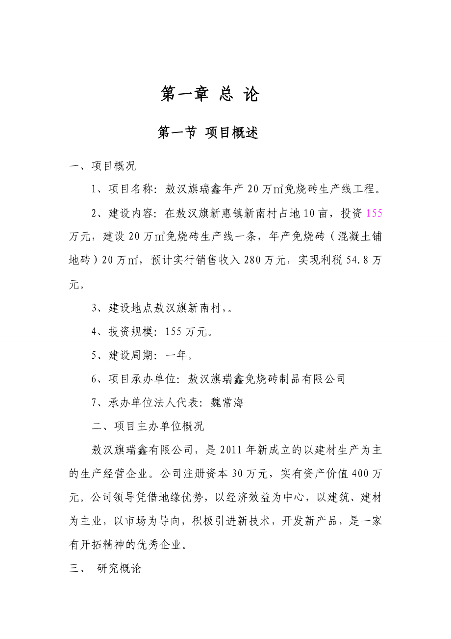 免烧砖建设项目可行性方案(路面砖).doc_第1页