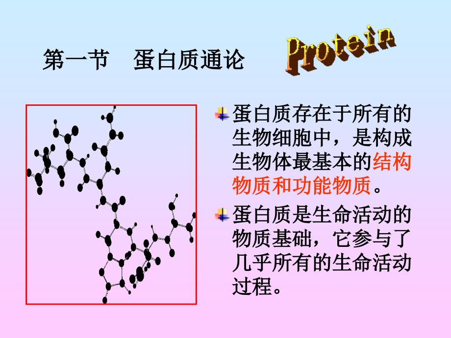 蛋白质组成成分和氨基酸_第2页