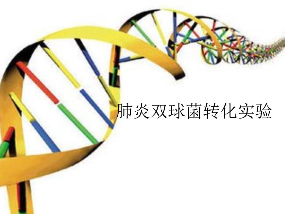 肺炎双球菌的转化实验_第1页