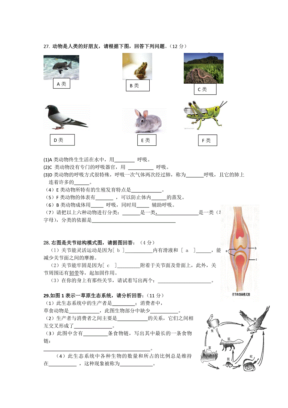 八年级生物上册期中试卷(2013秋_人教版新课标).doc_第3页