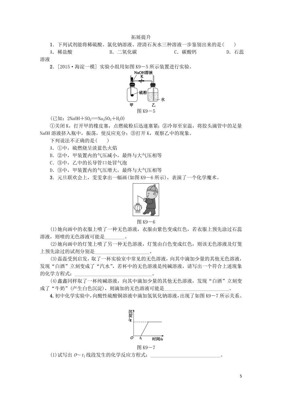 北京市中考化学基础复习课时训练九常见的酸和碱练习0114188_第5页