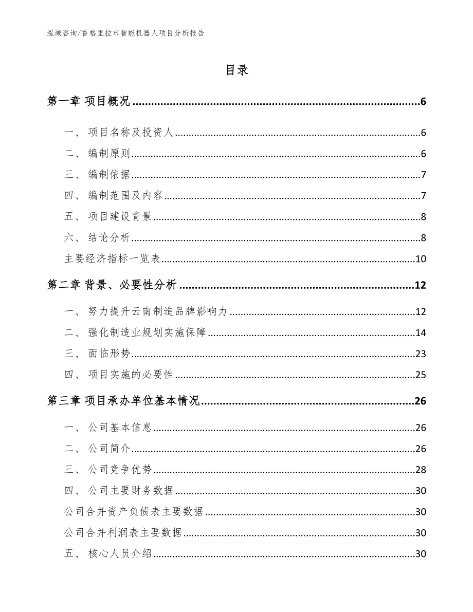 香格里拉市智能机器人项目分析报告范文模板_第1页