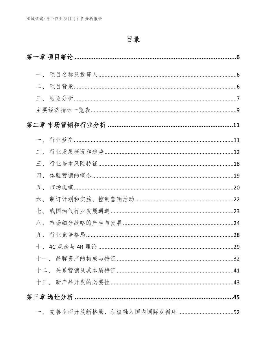 井下作业项目可行性分析报告_第1页