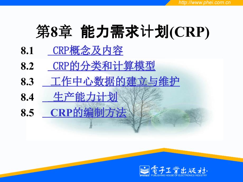 第8章企业资源计划(ERP)_第1页