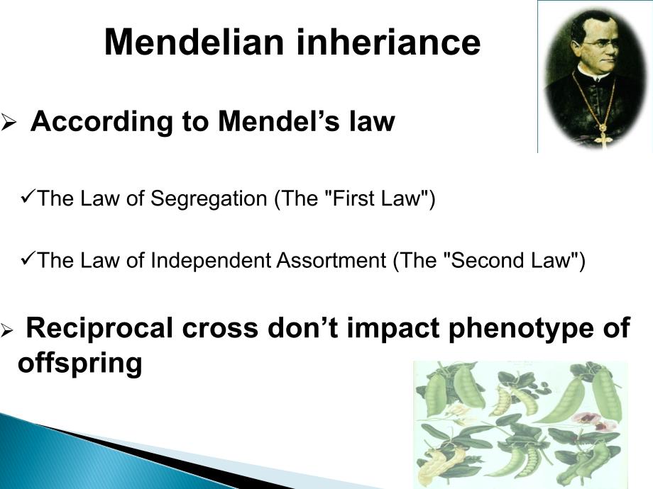 医学遗传学课件：5、Non-Mendelian Inheritance_第3页