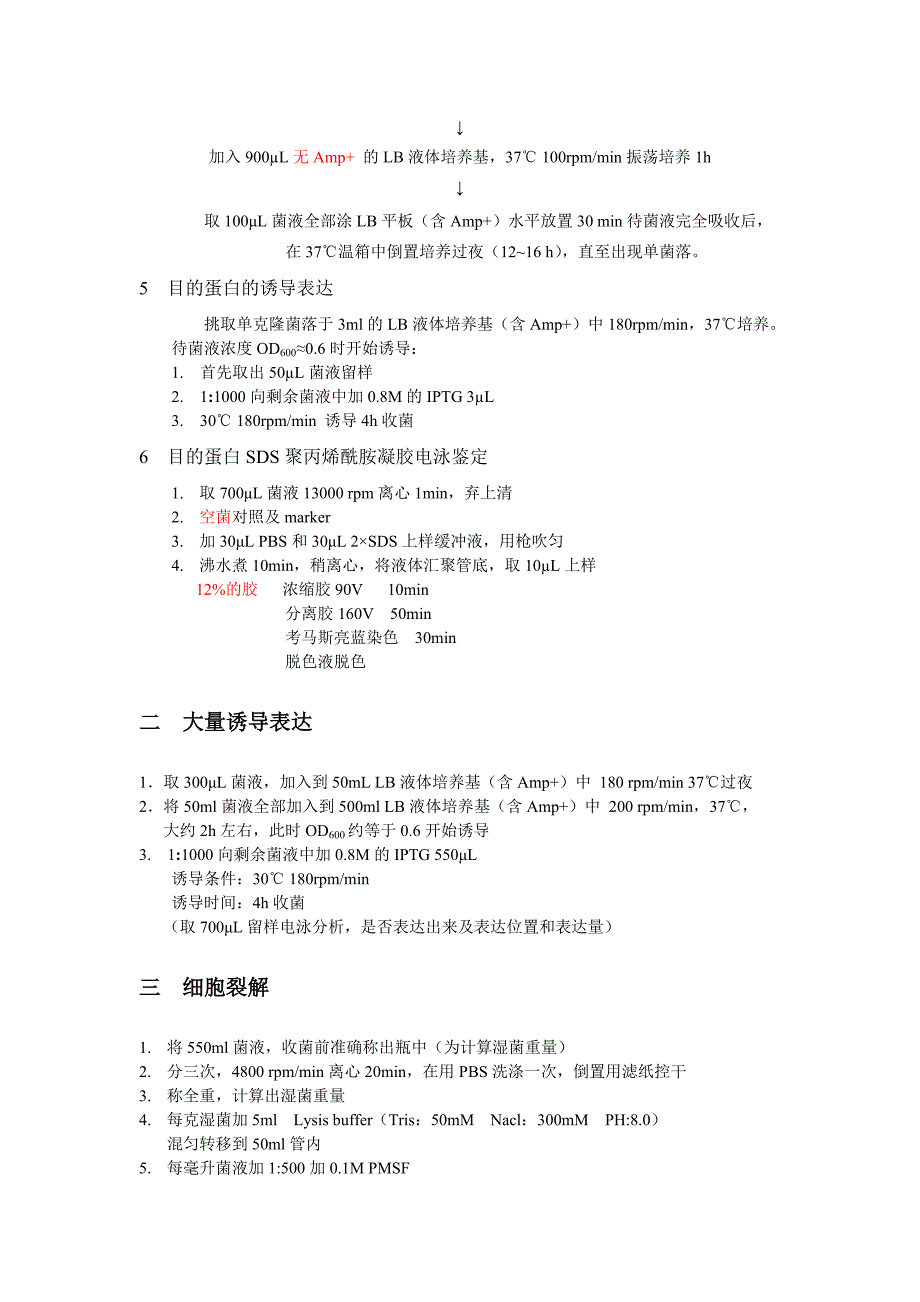 原核表达及纯化总结.doc_第4页