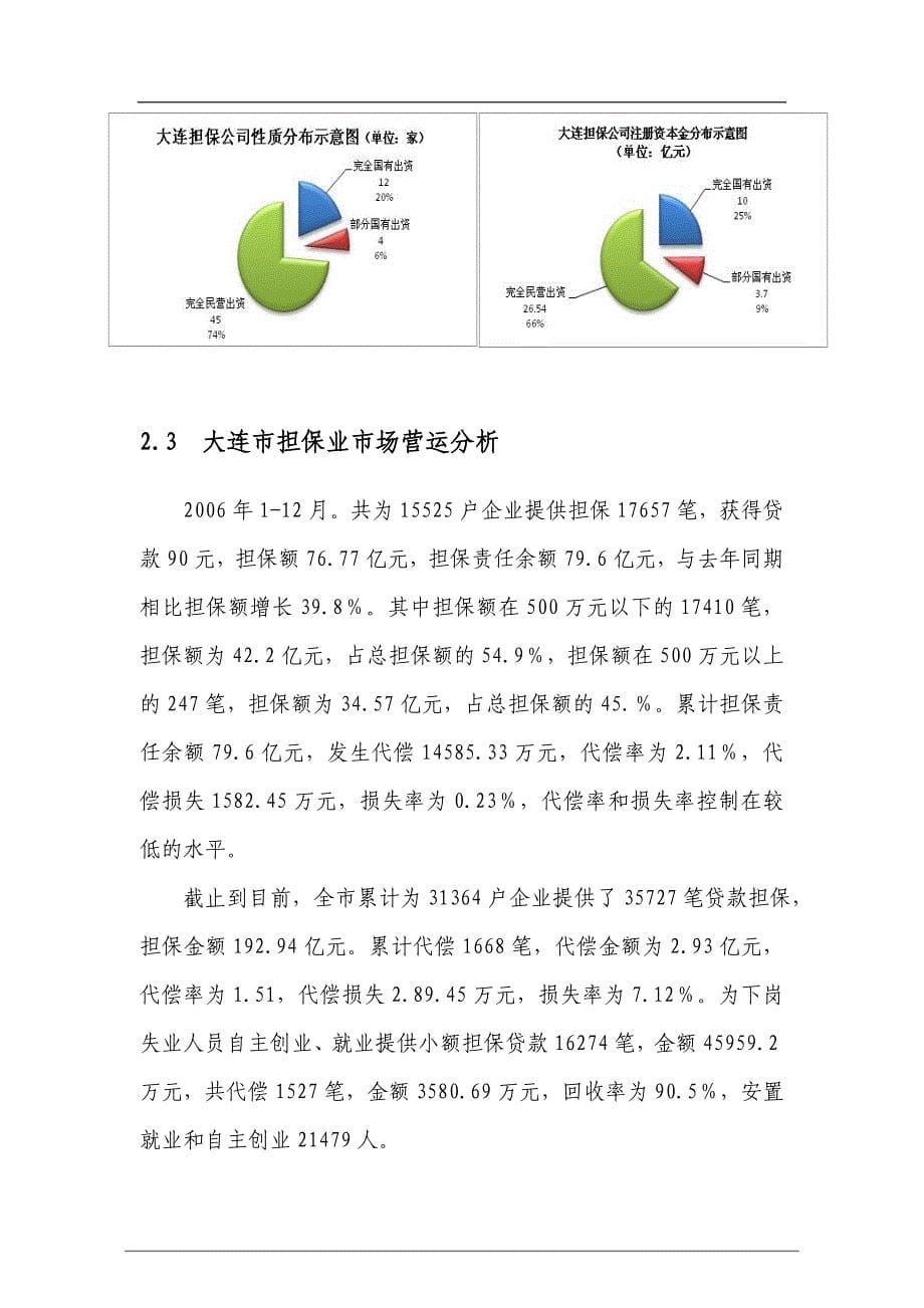 银衍投资担保有限责任公司可行性研究报告_第5页