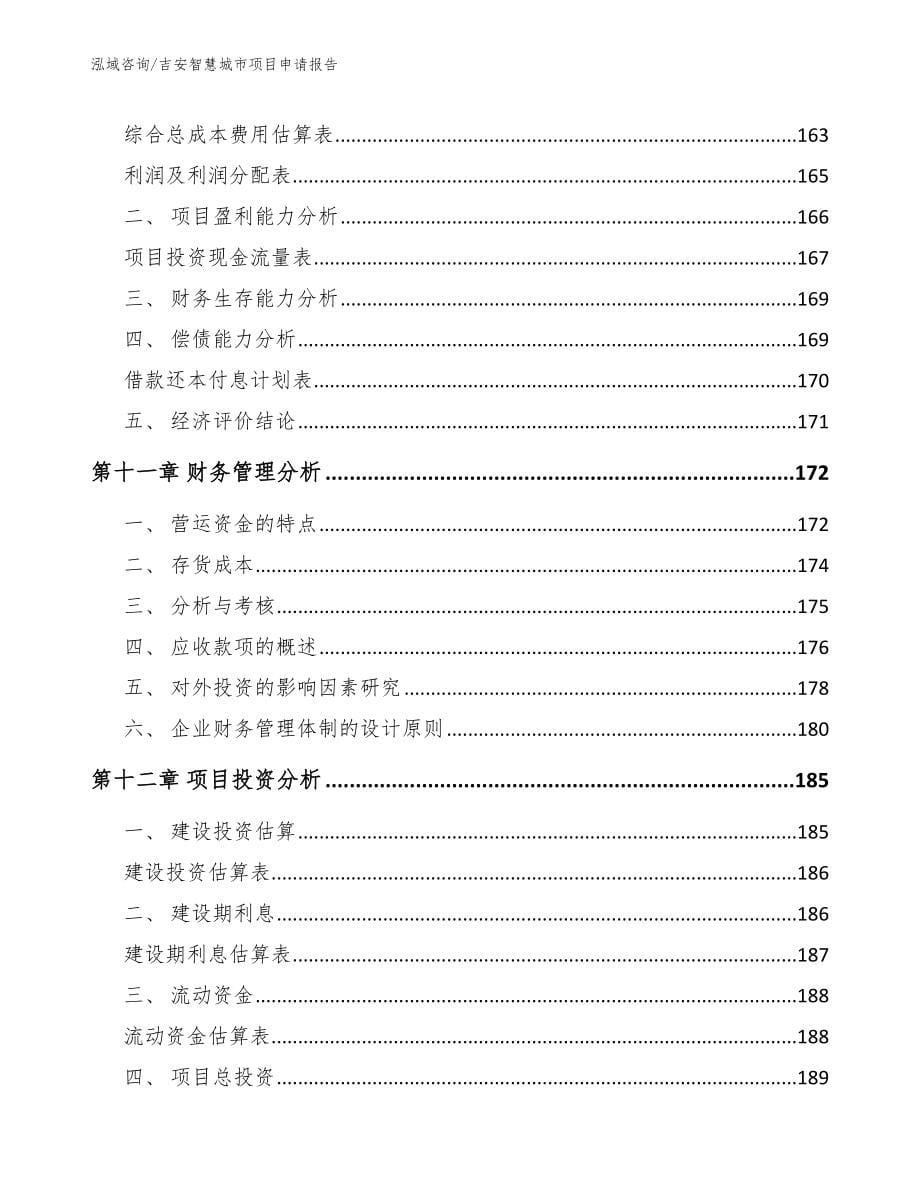 吉安智慧城市项目申请报告范文参考_第5页