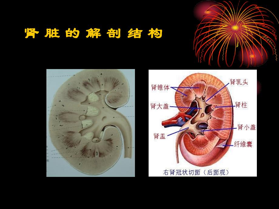 肾脏肿瘤影像学_第4页