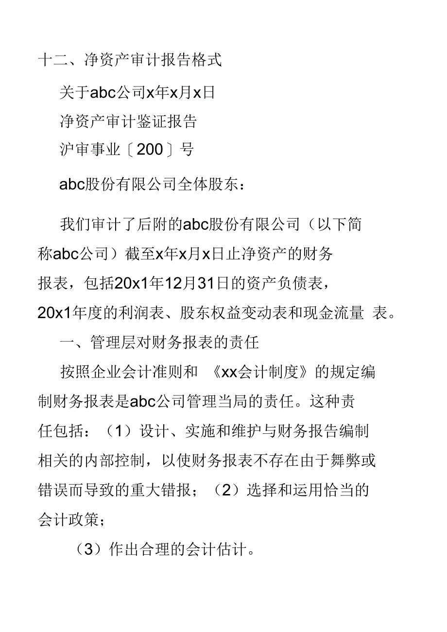 净资产审计报告格式_第2页