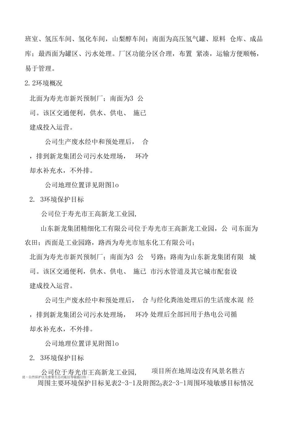 山东新龙集团精细化工有限公司突发环境事件应急预案.docx_第5页