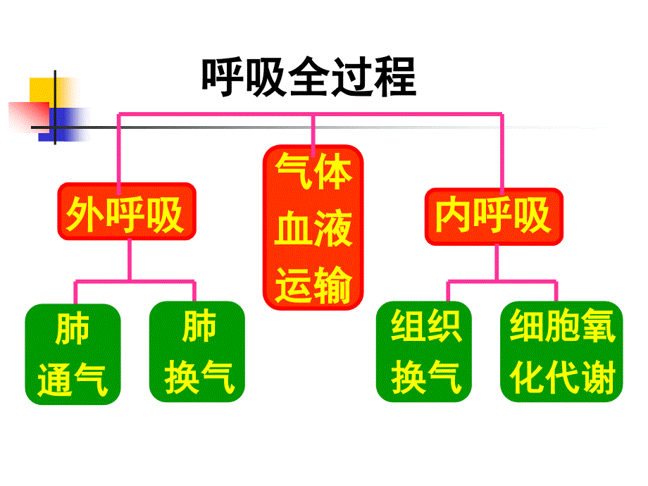 急性呼吸衰竭.ppt_第4页