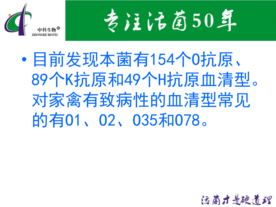 活菌中药微生态制剂对大肠杆菌病的防治_第4页