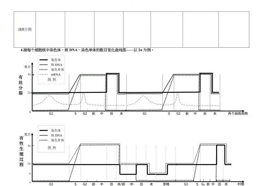 减数分裂与有丝分裂图形及曲线绘制_第3页