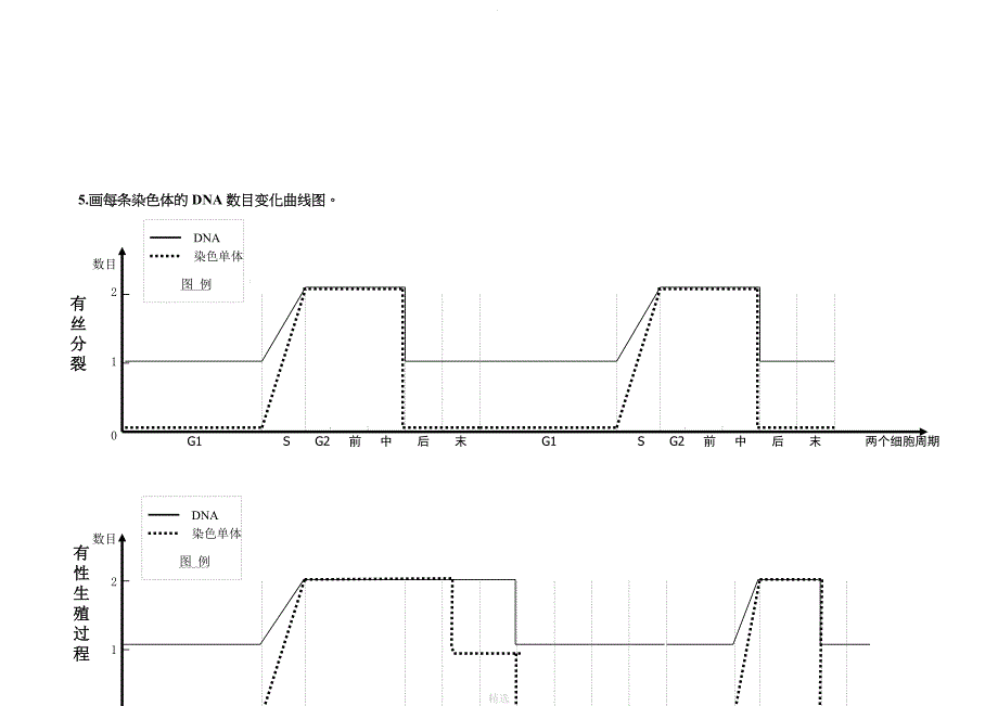减数分裂与有丝分裂图形及曲线绘制_第4页