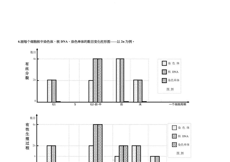 减数分裂与有丝分裂图形及曲线绘制_第5页