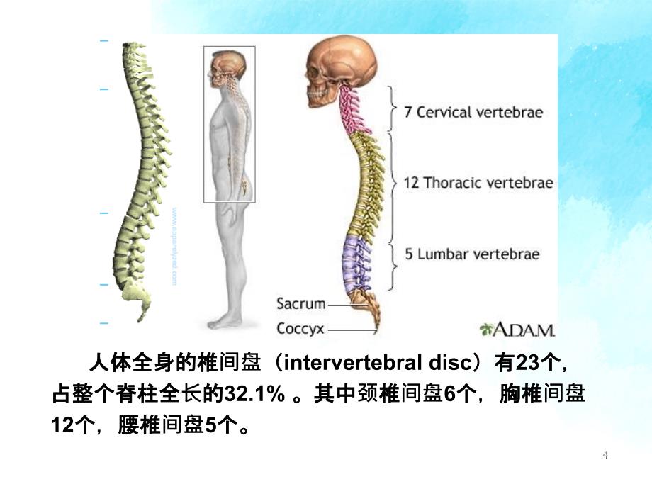 腰椎间盘突出症LDH诊治新进展_第4页