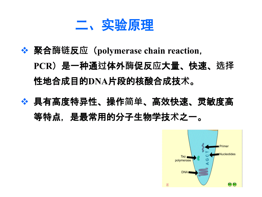 生物化学与基础分子生物学实验：聚合酶链式反应（PCR）及酶切鉴定转化产物_第4页