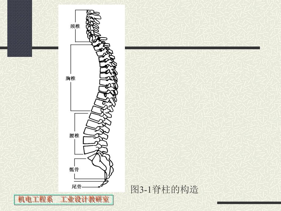 人机桌椅设计ppt课件_第3页