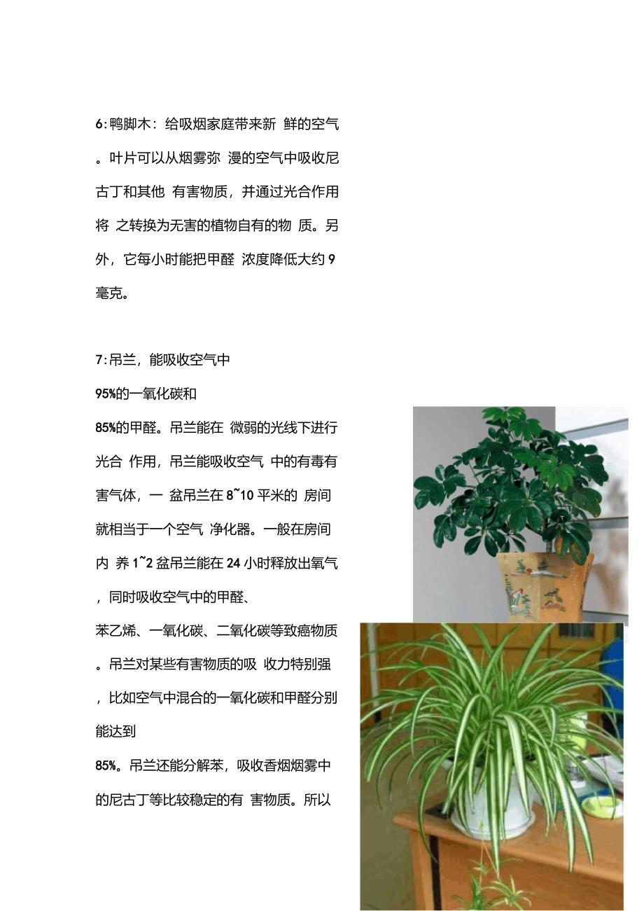 18种最适合摆放室内的绿色植物_第3页