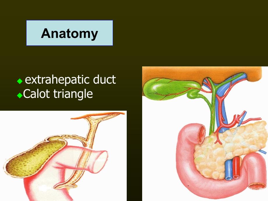 disease-of-biliary-tract_第2页