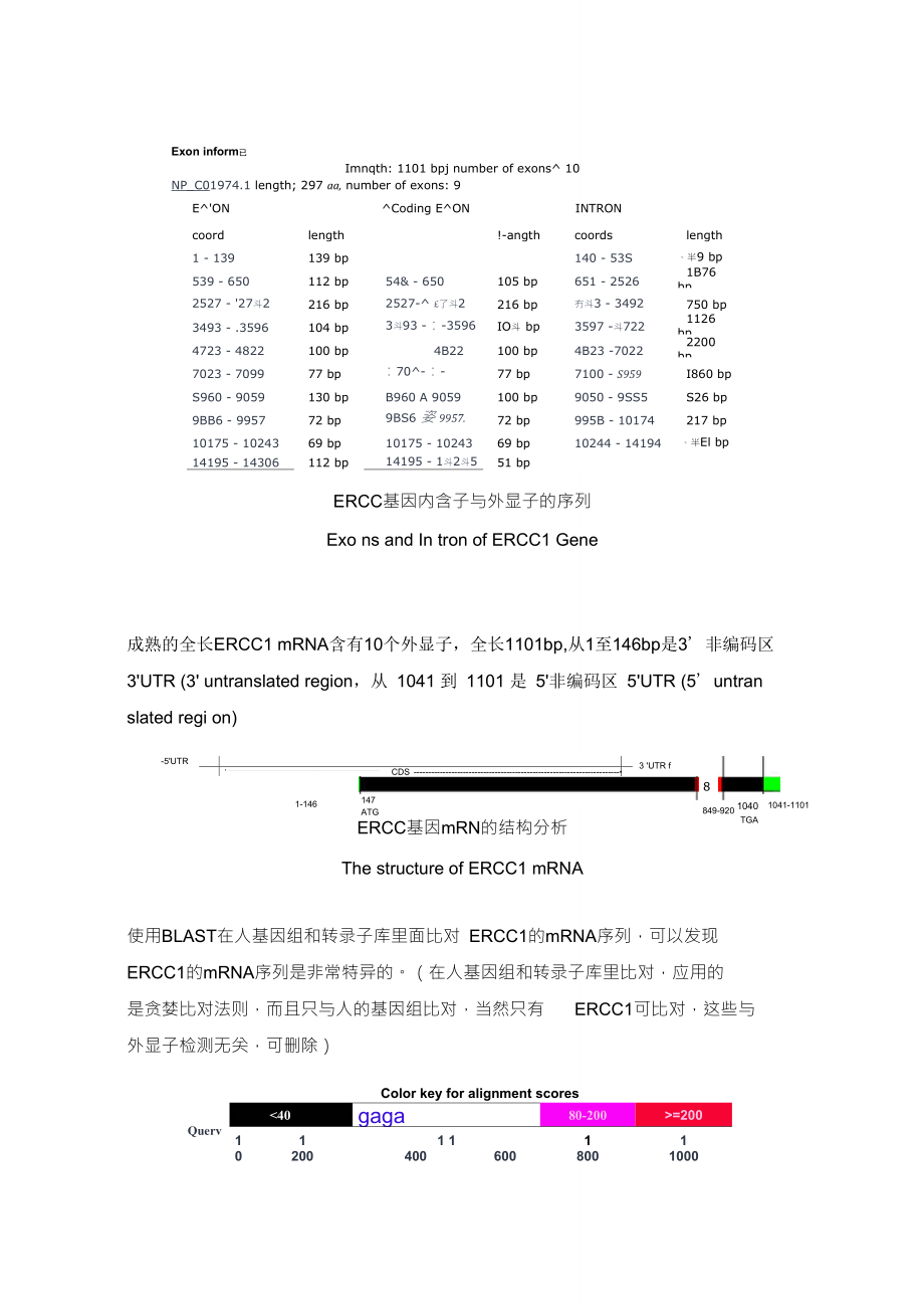 TaqMan实时荧光定量RT_第4页