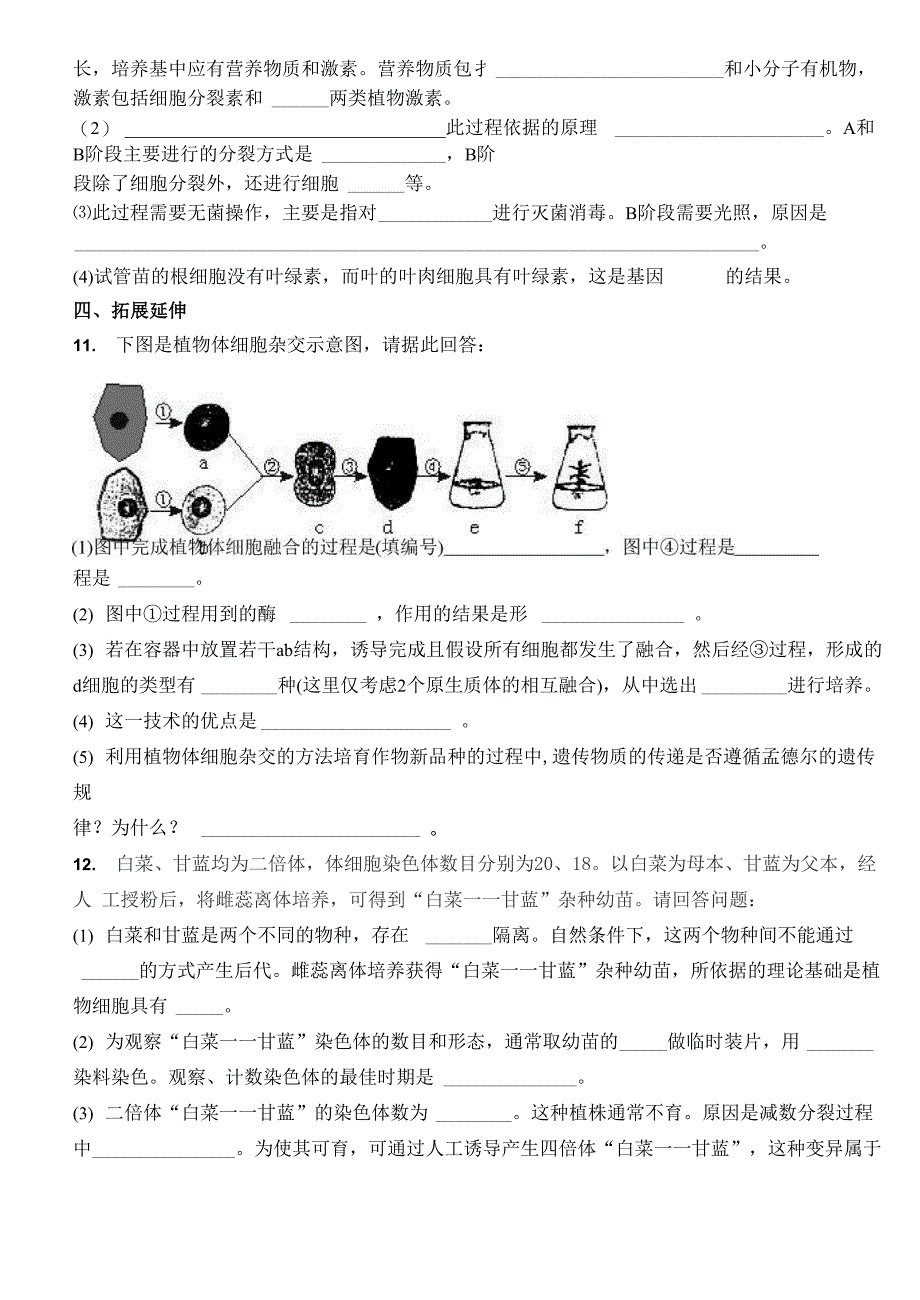 植物细胞工程的基本技术_第4页