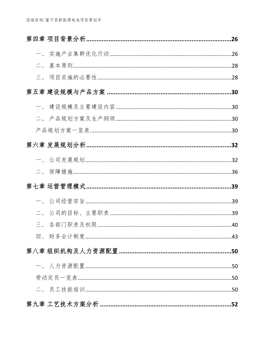 富宁县新能源电池项目策划书（模板参考）_第2页