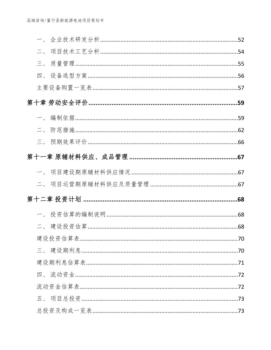 富宁县新能源电池项目策划书（模板参考）_第3页