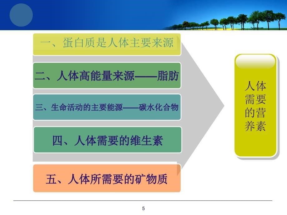 1.探究营养与烹饪 (4)_第5页