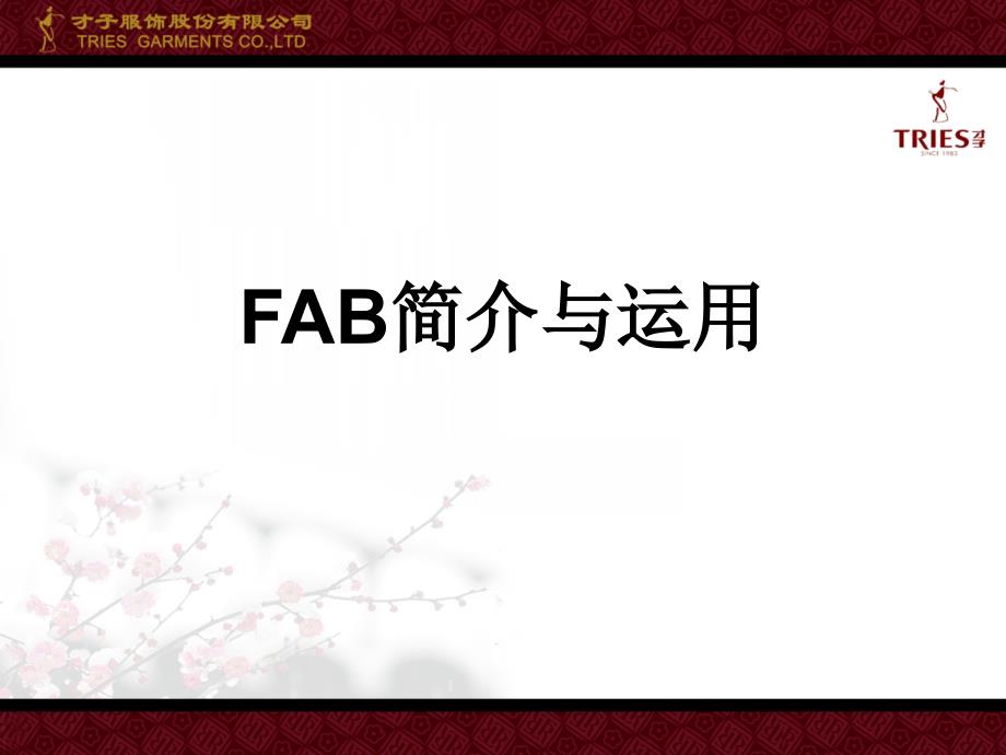 服装品牌FAB简介与运用_第1页