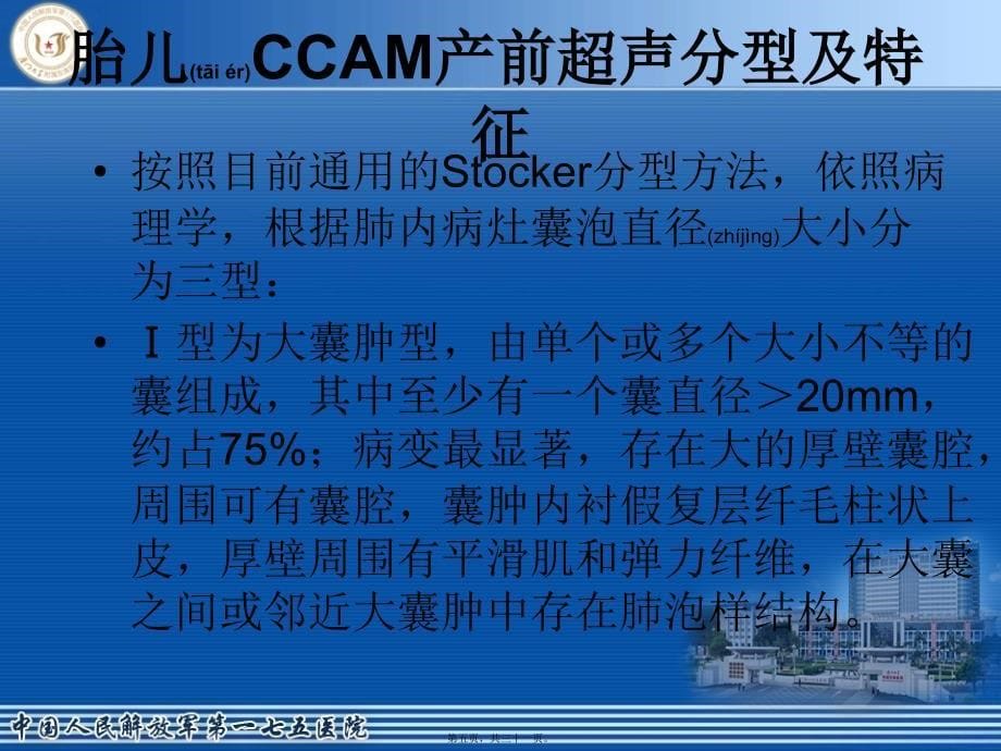 医学专题—先天性胎儿肺囊腺瘤模板_第5页