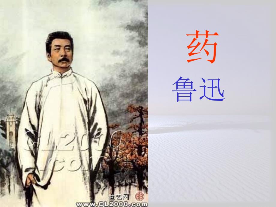 《药》教学课件_第1页